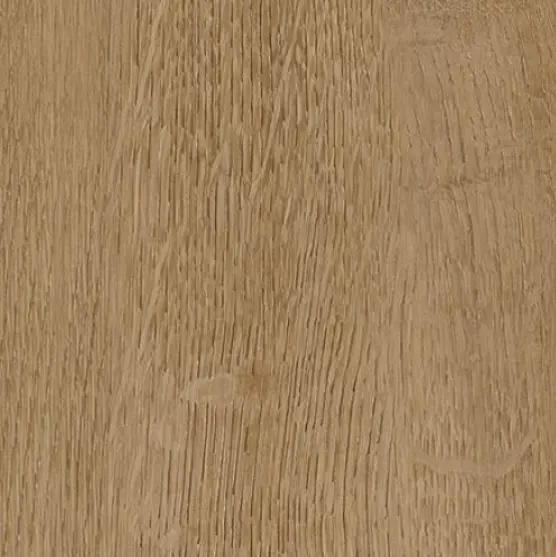 ROBLE VERMONT 1.webp